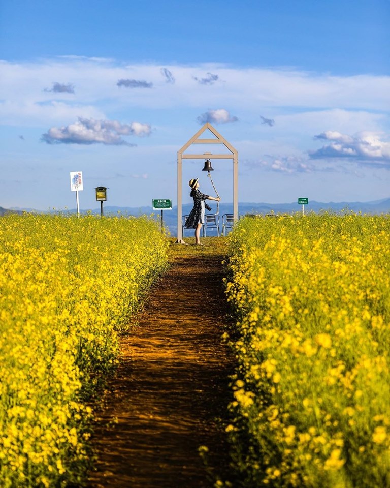 Kho Dau Nao Roi Cung Se Nguoi Ngoai